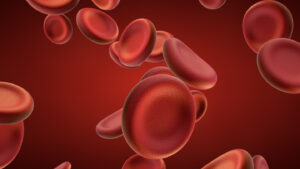 Red blood cells