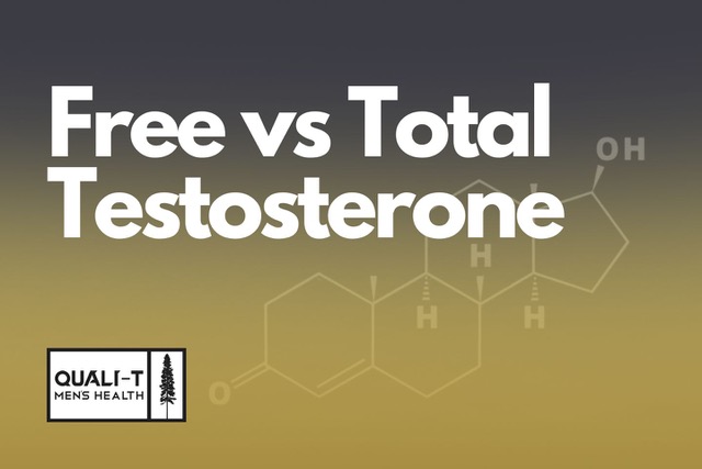 Free vs Total Testosterone graphic